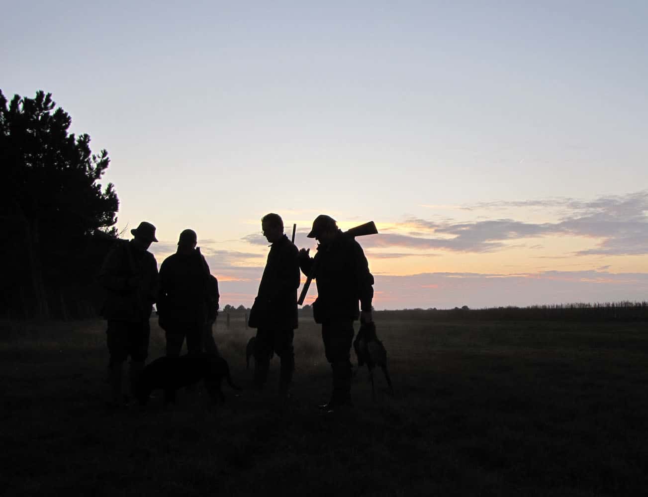 Nyjægerjagt jagttegn