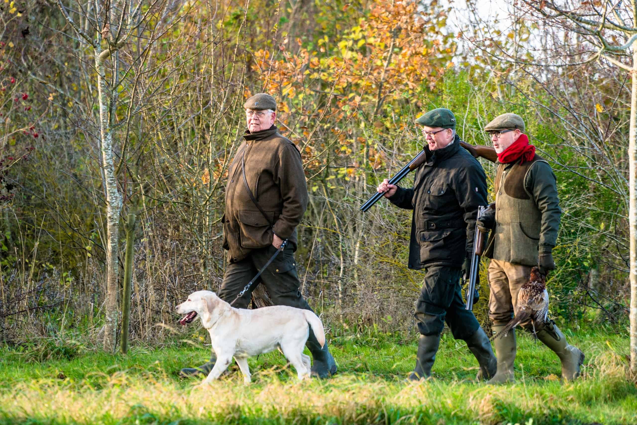 Jagttegn Lolland Falster Sydsjælland