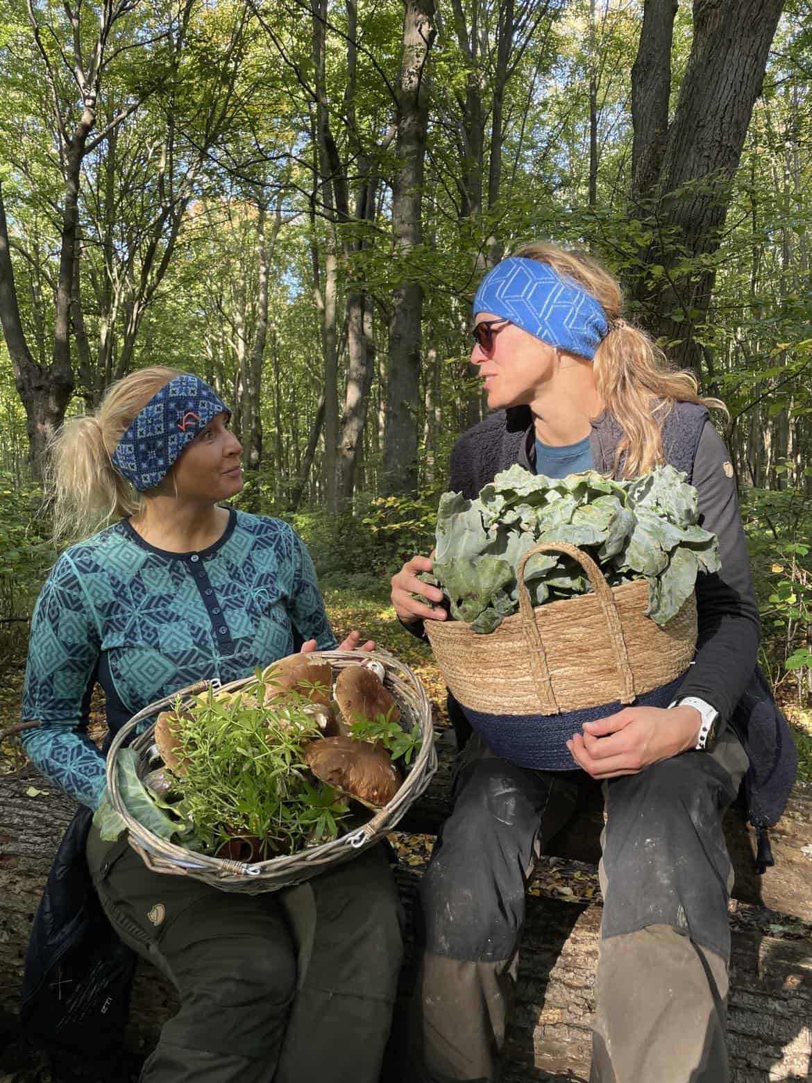 sankning af svampe og spiselige planter